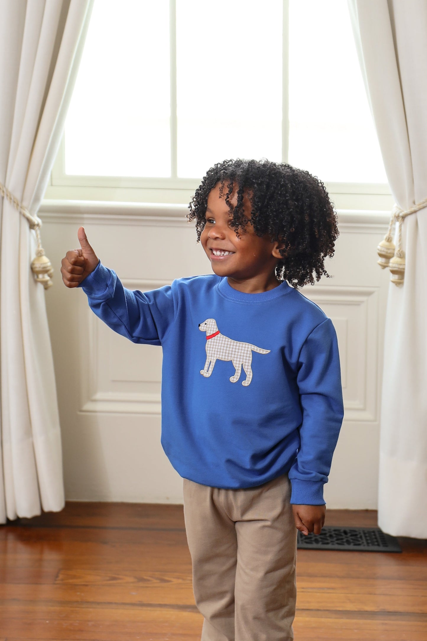 Dog Blue French Terry Pullover